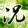 定制新版树人医护管理专科学校文凭【degxx.com】